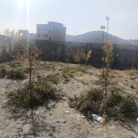 باغچه ۴۳۸ متر سند تک برگ