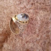 شجر معاوضه با هرچی پسندم بشه