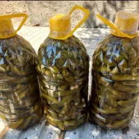 خیارشور ترد و خوشمزه