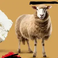 پنیر گوسفندی