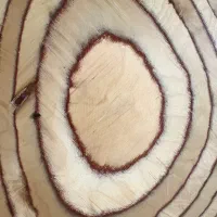 میز عسلی سه تایی|مبلمان خانگی و میز عسلی|کرج, عظیمیه|دیوار