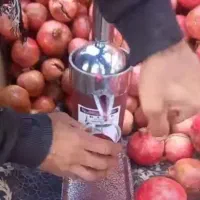 آبمیوه گیری دستی بیتا|آبمیوهگیر و آبمرکباتگیر|تهران, اتابک|دیوار