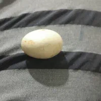 سنگ الماس اسیاب