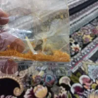 مهره قدیمی اصل|کلکسیون اشیاء عتیقه|شبانکاره, |دیوار