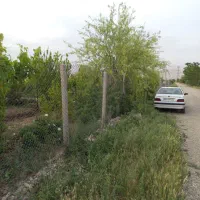 زمین باغ به متراژ ۱۰۰۰ متر واقع در نظر آباد|فروش دفتر صنعتی، کشاورزی، تجاری|نظرآباد, احمد آباد|دیوار