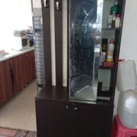 جاکفشی ایستاده