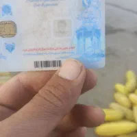 پیدا شده