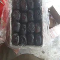 خرمادوردیف وسه ردیف درجه یک بهترین خرمادرسطح کشور