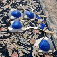 اسکیت کارکرده