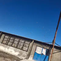 نیازمند کارگر چهت کار درمرغداری