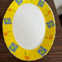 دیس پذیرایی