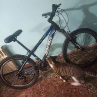 دوچرخه ۲۴ دنده ای