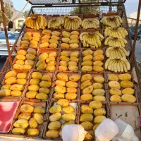 نیازمند فروشنده برای بساط
