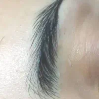 میکرو|خدمات آرایشگری و زیبایی|سبزوار, بیهق شرقی|دیوار