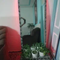 اینه ی قدی زیبا|آینه|کرمان, |دیوار