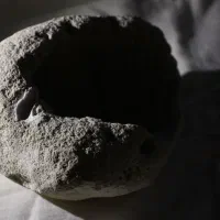 مرجان های طبیعی