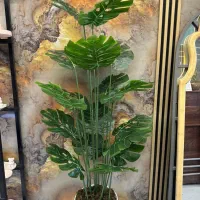 فروش درختچه های متنوع بصورت عمده و تکی