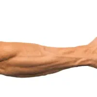 قیچی و فنر تقویت مچ دست|تجهیزات ورزشی|اصفهان, جلفا|دیوار