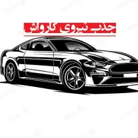 جذب نیروی کارواش در کرمان