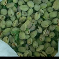 بادام شیرین تازه درجه ۱ لردگان|خوردنی و آشامیدنی|اصفهان, ارداجی|دیوار