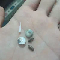 مهره انگشتر شانس