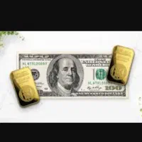 مقداری دلار پیدا شده