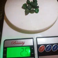 گارنت دمانتویید کرمان|جواهرات|تهران, شهرک بوعلی|دیوار