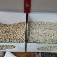 ذرت پفیلا درجه یک|خوردنی و آشامیدنی|کوهدشت, |دیوار