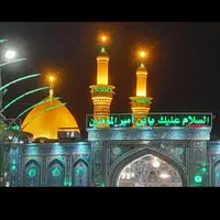 تور کربلا زمینی، vip /