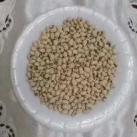 لوبیا چشم بلبلی اعلا ۴۷۰ کیلو|خوردنی و آشامیدنی|تهران, خانیآباد|دیوار