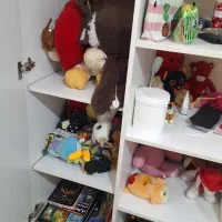 کمد|کتابخانه، شلف، قفسه‌های دیواری|مشهد, فرهنگ|دیوار