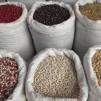 تامین حبوبات نخود عدس چیتی ذرت و بلبلی