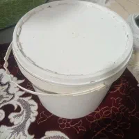 فروش سطل|ظروف نگهدارنده، پلاستیکی، یک‌بارمصرف|قدس, شهر‌قدس|دیوار