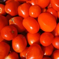 رب گوجه و ابغوره|خوردنی و آشامیدنی|شیراز, وصال|دیوار