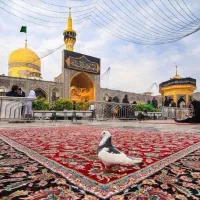 اجابت دعا در حرم با تور مشهد /) در حرم امام رضا