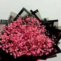گل های جاودان|صنایع دستی و سایر لوازم تزئینی|چالوس, |دیوار