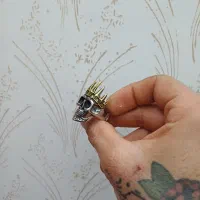 دست بند و انگشتر اسکلت|بدلیجات|یزد, |دیوار