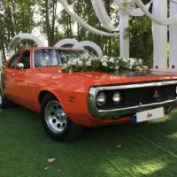 اجاره ماشین عروس|خودرو اجاره‌ای|رشت, گلسار|دیوار