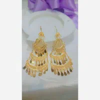 گوشواره طاووسی|بدلیجات|اصفهان, سرشبادران|دیوار