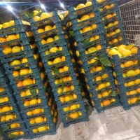 میزه میوه فروشی