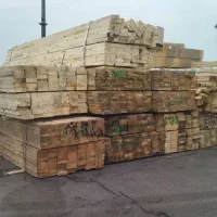 فروش چوب نراد روسی ، رابیتس و... با نازلترین قیمت