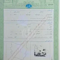 زمین تک برگ ۱۷۰ متر