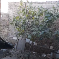 شهرک پردیس حیاط ویلایی ۱۲۰متر  زمین ۸۰بنا ۱خوابه ت|اجارهٔ خانه و ویلا|شاهرود, |دیوار