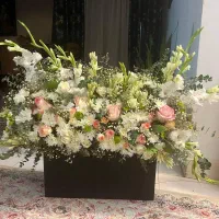 گلهای زیبا تازه