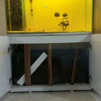 آکواریوم حرفه ای