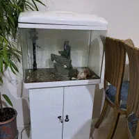 آکواریوم|ماهی|فردیس, شهرک راه آهن|دیوار