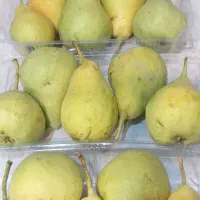 شاه میوه و گلابی ارگانیک با طعم و عطر طبیعی