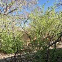 اجاره ویلایی سنتی در مرکز شهمیرزاد سمنان|اجارهٔ کوتاهمدت ویلا و باغ|شهمیرزاد, |دیوار