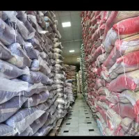 فروش برنج سبزبهار متمایز شاهپخت جشنواره چارلی احمد