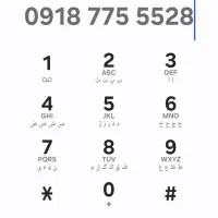 سیم کارت دائمی